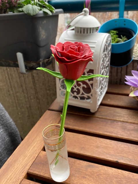 3D-gedruckte Rose 3d-printed Rose