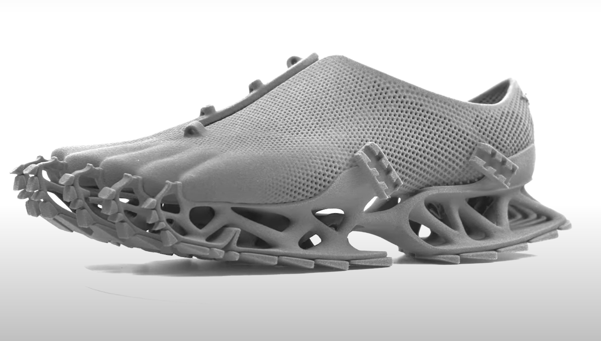 Der Cryptide Sneaker The Cryptide Sneaker